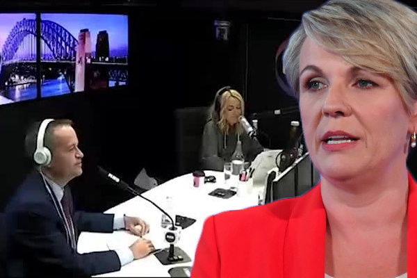 Article image for Tanya Plibersek contradicts Bill Shorten’s electric car claim