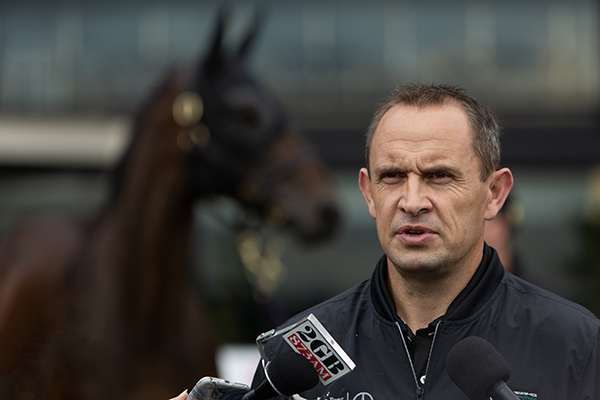 ‘Utter relief’: Chris Waller explains what’s next for Winx