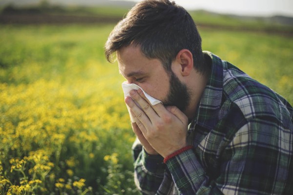 Predicting asthma attacks with grass pollen