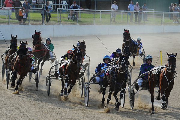 Article image for ‘Issues of integrity’: QLD racing industry needs overhaul, says Shadow Minister