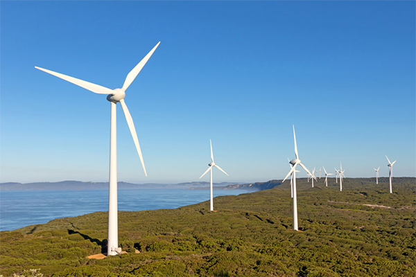 Article image for ‘Major crisis’: Wind farm fears in wake of Labor’s climate policy
