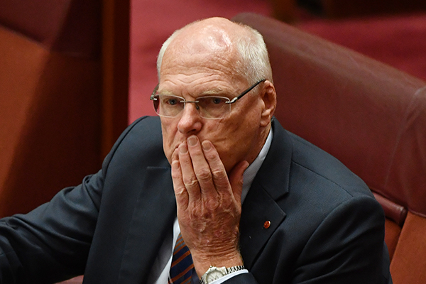 Article image for ‘I need a miracle’: Jim Molan’s fight amid ‘magnificent’ Liberal win