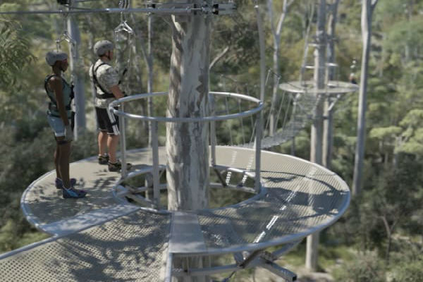 The book finally closed on the Mt Coot-tha Zipline