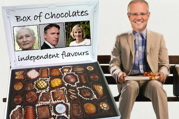 Article image for Scott Morrison says Independents are ‘like Forest Gump’s box of chocolates’