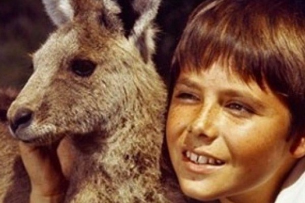 Online exhibition celebrates 50 years of Skippy