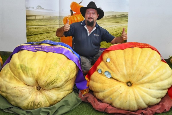 Monster pumpkins are a family affair