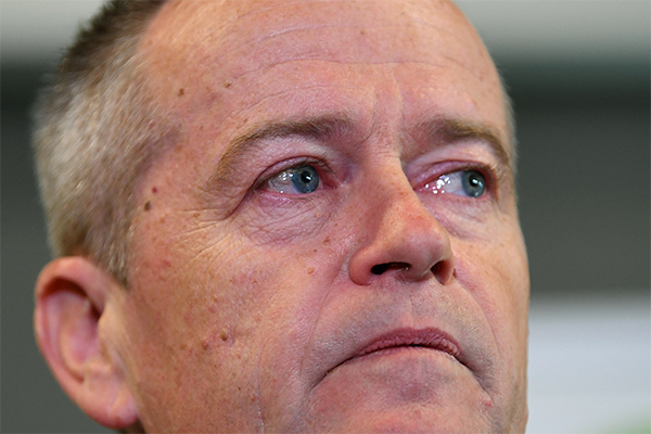 Article image for ‘Very upsetting and traumatic’: Anthony Albanese defends Bill Shorten