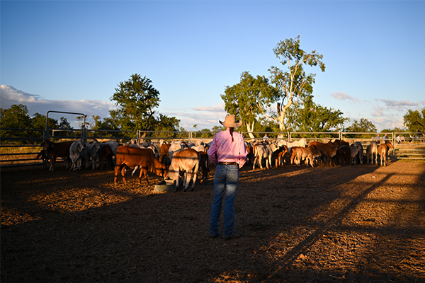 ‘Like taking oxygen out of someone’s lungs’: Our farmers under siege