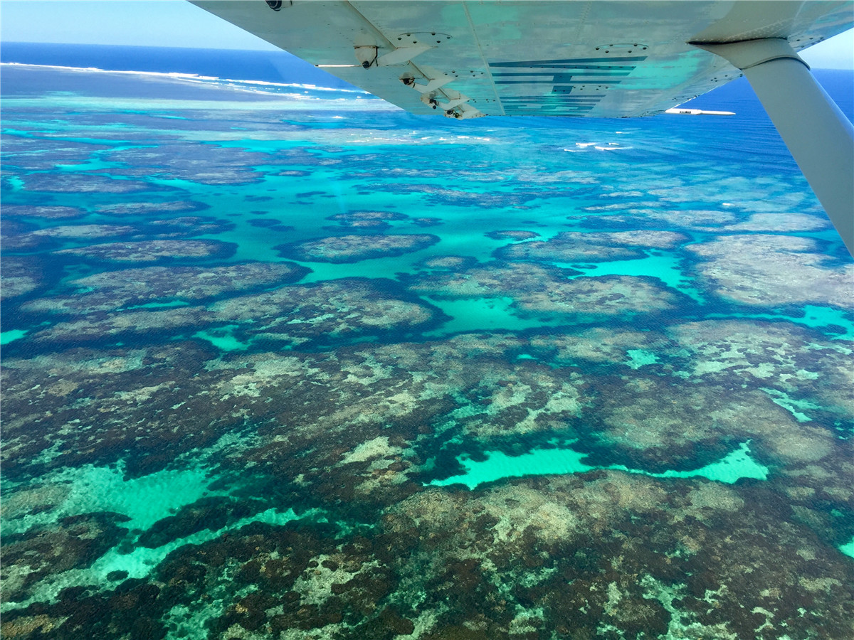 Abrolhos