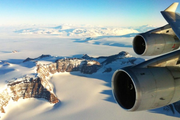 Taking flight for the frozen continent