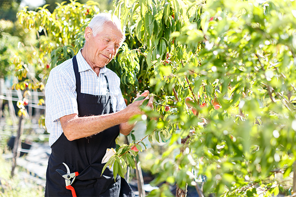 Article image for Tourism industry wants baby boomers put to work