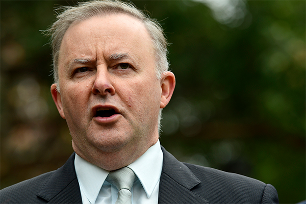 ‘I don’t respond to threats’: Albanese hits back