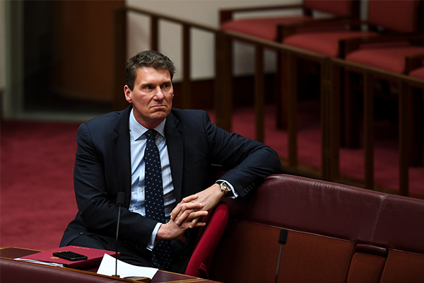 Article image for ‘My time is drawing to an end’: Bernardi signals political retirement