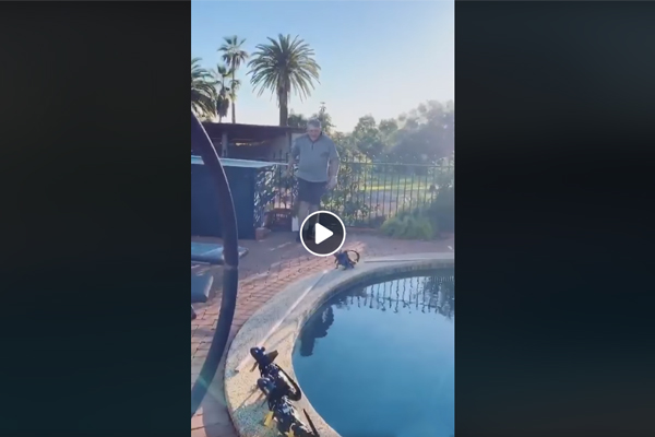 Article image for WATCH | Has Ray Hadley taken his duck problem too far?
