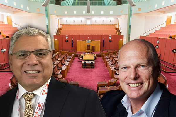 Article image for Mundine’s message to Molan as race for vacant Senate seats heats up