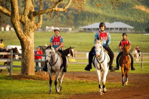 Riders saddle up for the Tom Quilty Gold Cup