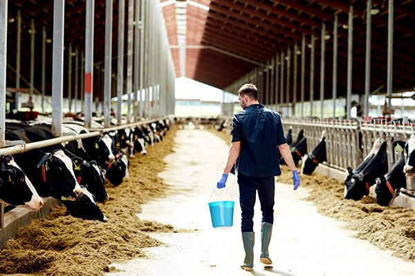 QLD’s plan to lure welfare recipients to farms fails spectacularly