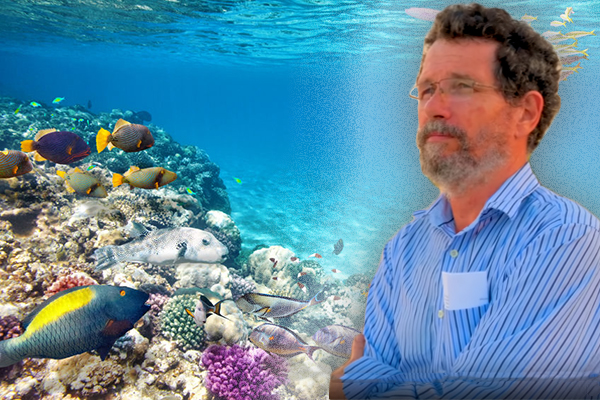 ‘Triumph of misinformation’: Professor slams Great Barrier Reef ‘hoax’