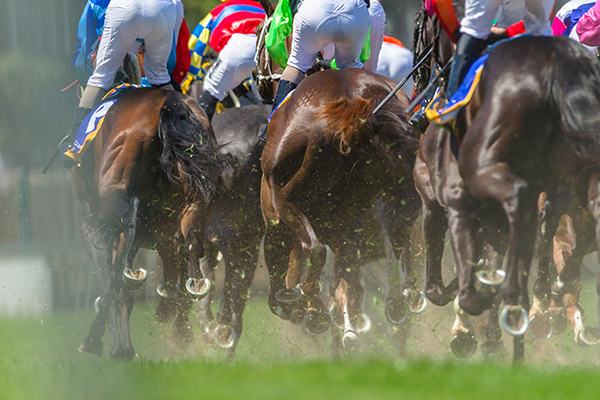 Article image for Jockey dead after tragic accident