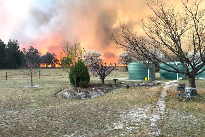 Stanthorpe Bushfires – Samantha Wantling