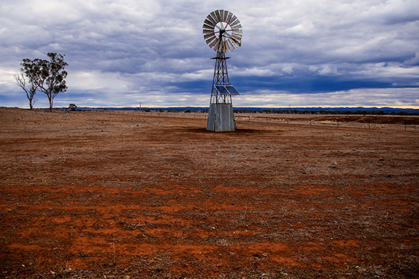 Article image for Drought relief promised to struggling communities