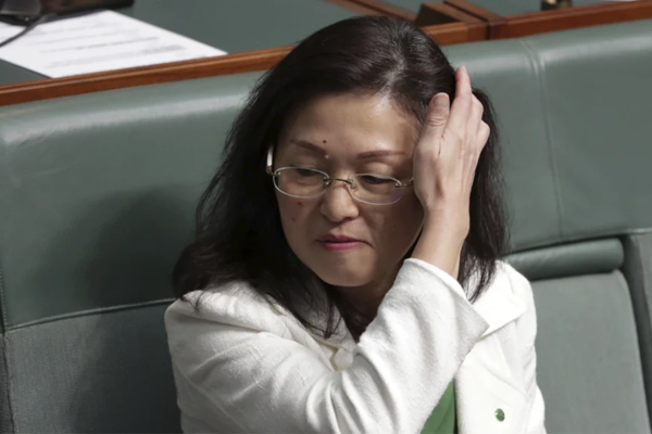 Article image for Barnaby Joyce says Gladys Liu saga is ‘why we have ASIO’