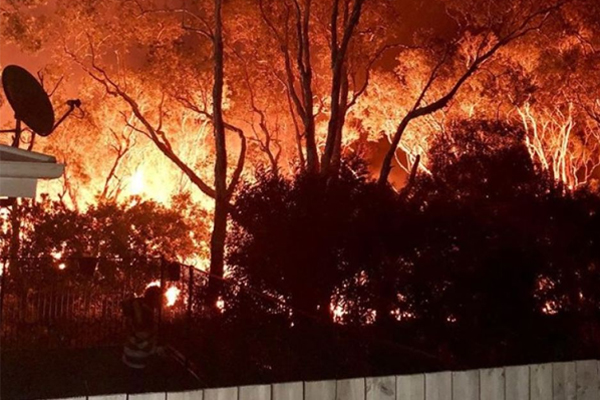Article image for Bushfire updates: Rolling coverage from across NSW and QLD