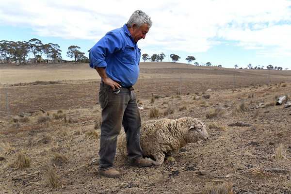 ‘Communities are on their knees’: Farmers livid at QLD government’s $250m stunt