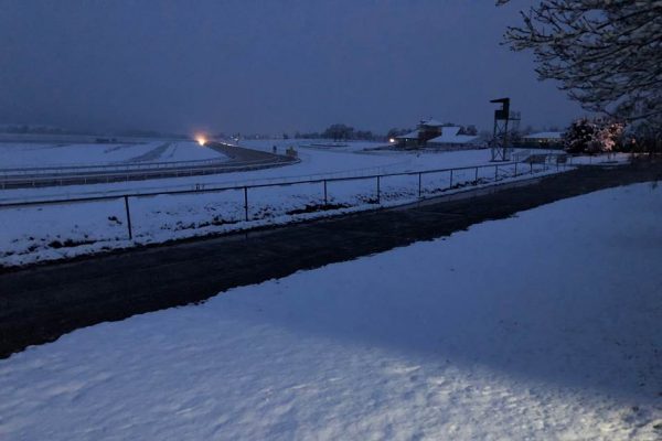 Article image for Snow covers parts of NSW