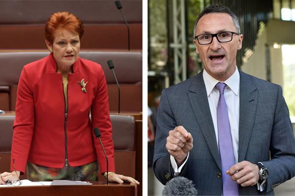 Article image for Pauline Hanson rips into Richard Di Natale for blaming bushfires on climate change