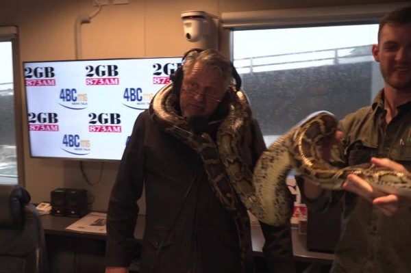 WATCH | Ray Hadley meets Fluffy… the gigantic Burmese python