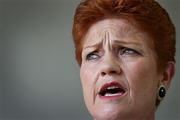 Article image for ‘I want to clean up the act of the whole damn lot of them’: Pauline Hanson