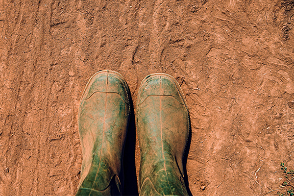 Article image for ‘Greatest act of bastardry’: QLD farmers stripped of drought support