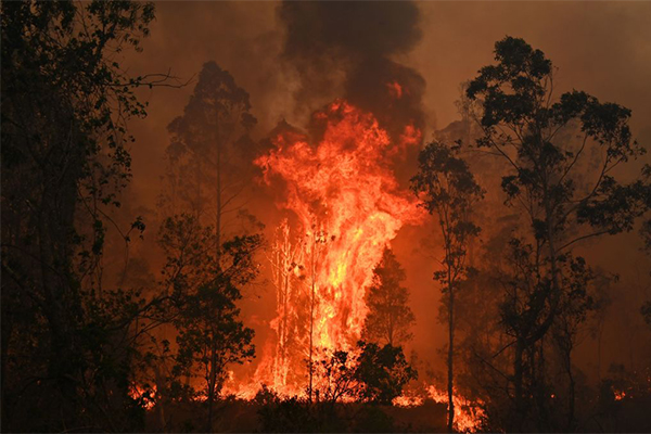 Article image for Bushfire emergency: The worst is yet to come as ‘catastrophic’ conditions forecast