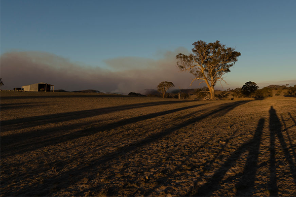 ‘They’re bastards!’: Looters targeting homes evacuated due to bushfires