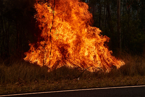 Article image for ‘This is a form of domestic terrorism’: Deliberately lit fires risking life and property