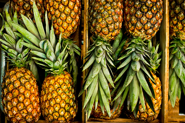 ‘Catastrophic start to the season’: Pineapple farm rocked by QLD fires