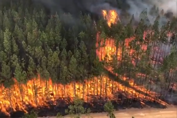 ‘Ultimate betrayal’: RFS volunteer charged with starting seven bushfires