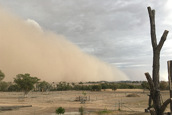 Article image for Dust storms sweep across NSW and Queensland