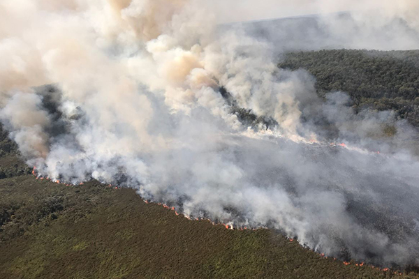 Article image for Brisbane swelters as fires rage across the state