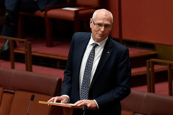 Article image for Jim Molan makes long-awaited return to the Senate