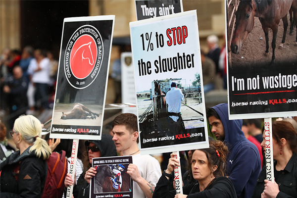 Melbourne Cup protesters ‘just turning off reasonable people’: Rita Panahi