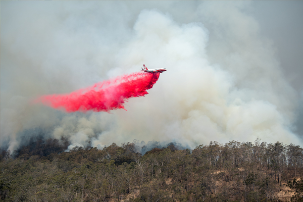 Article image for Queensland firefighters bracing for dangerous conditions from the south