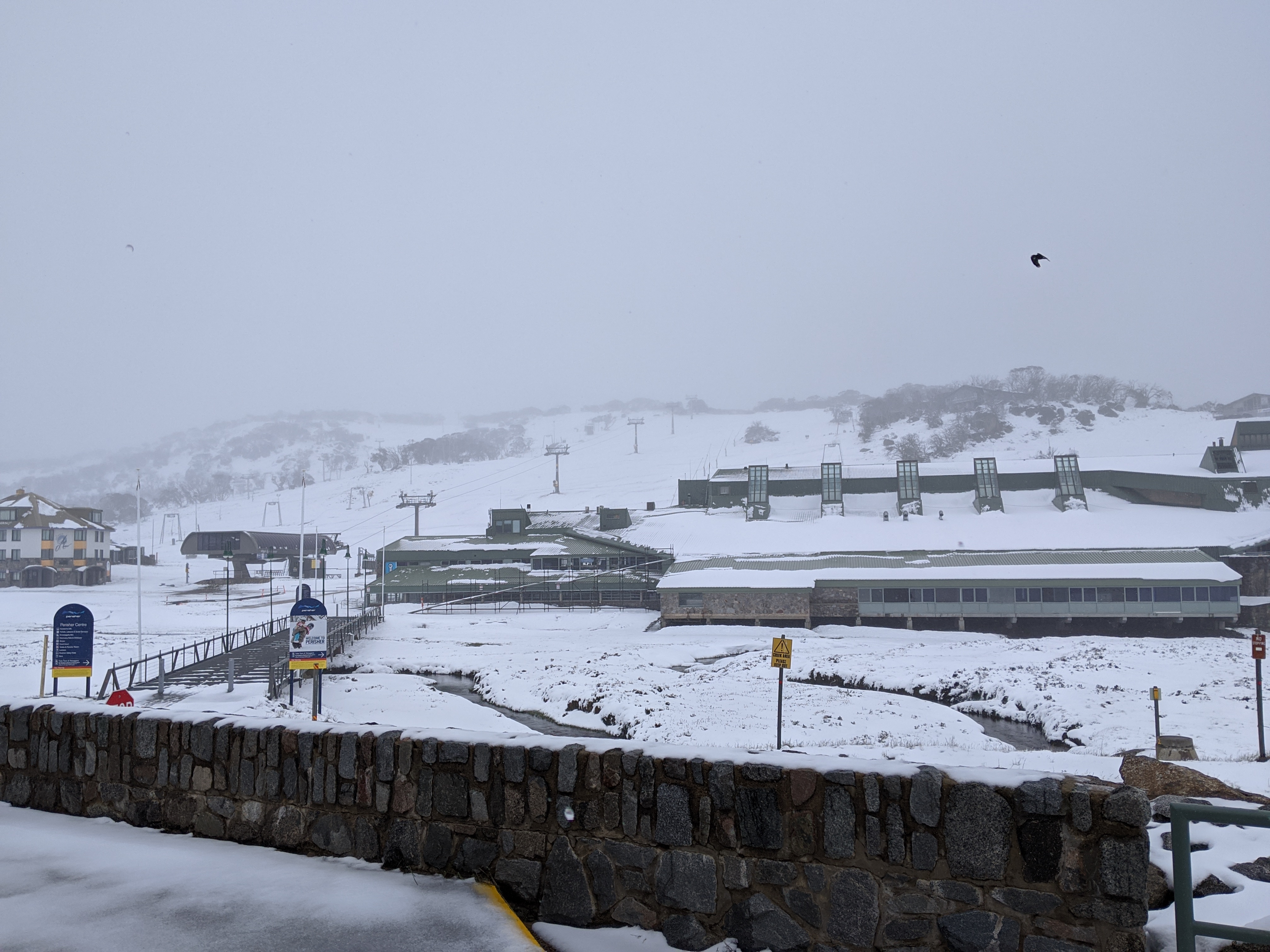 Article image for Summer snowfall in Perisher has residents gambling on a white Christmas
