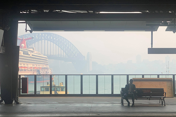 Article image for Health groups label Sydney’s smoke haze a ‘public health emergency’
