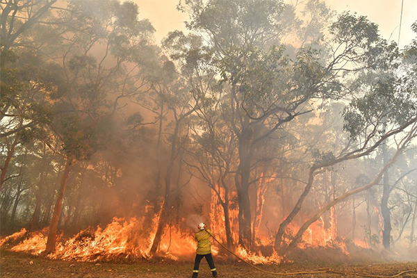 Article image for Dishonest Aussies rorting disaster relief payments meant for bushfire victims