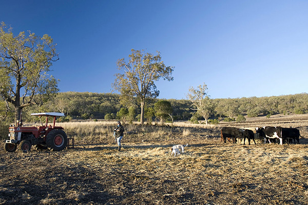 Article image for ‘Inexplicable’: Hundreds of QLD farmers left without support for months