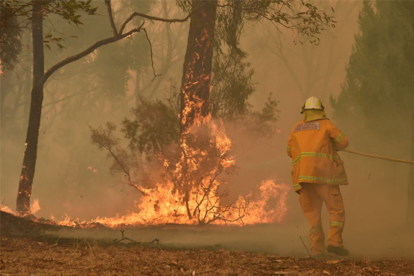 Article image for Devastated firefighter tears up at suggestions they ‘failed’ to save town