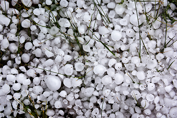 Article image for Roofers caught trying to raise prices after Sydney hailstorm