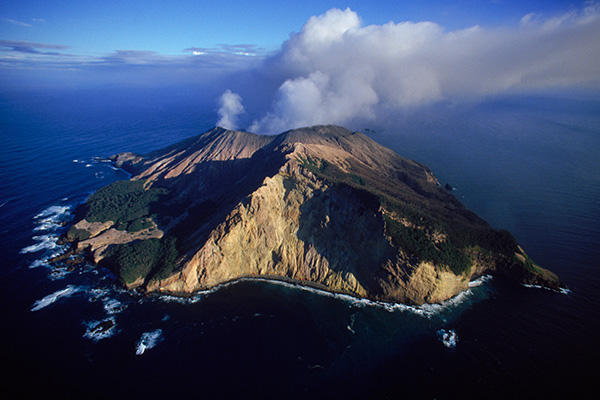 Article image for Helicopter pilot says bodies should be recovered from White Island within days